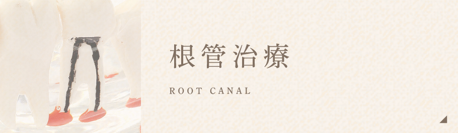 根管治療 ROOT CANAL